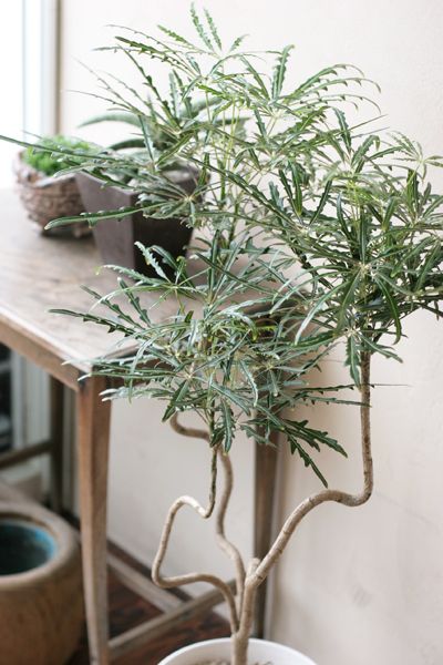 韩雪明星推荐好物,韩雪好物