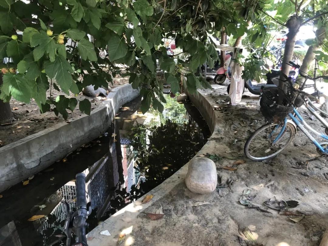 大河楼市·灾后12个小区隐患大检验，第五期