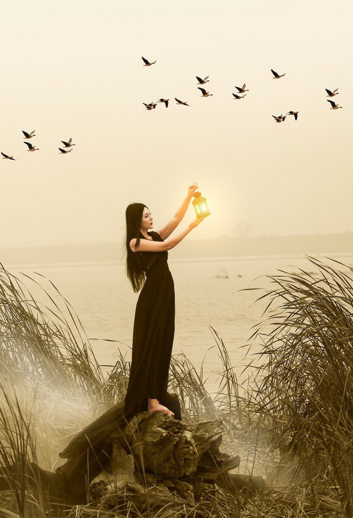 像看室外电影一样，目送雁南飞------付秀宏