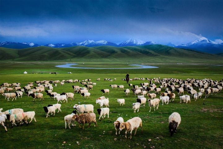 购物团真相,购物团不买东西会怎样