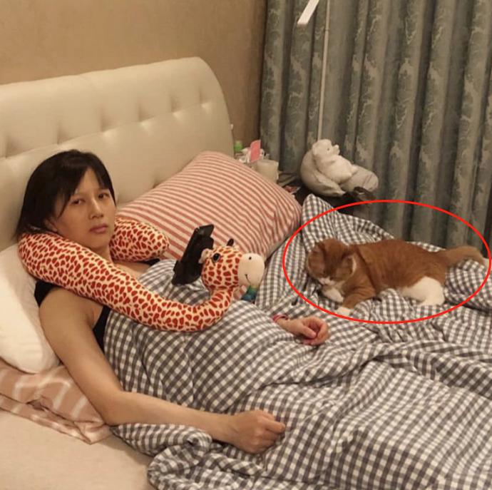 还在相信怀孕生娃后不能养宠物?钟南山:谣言,真相是越早越好