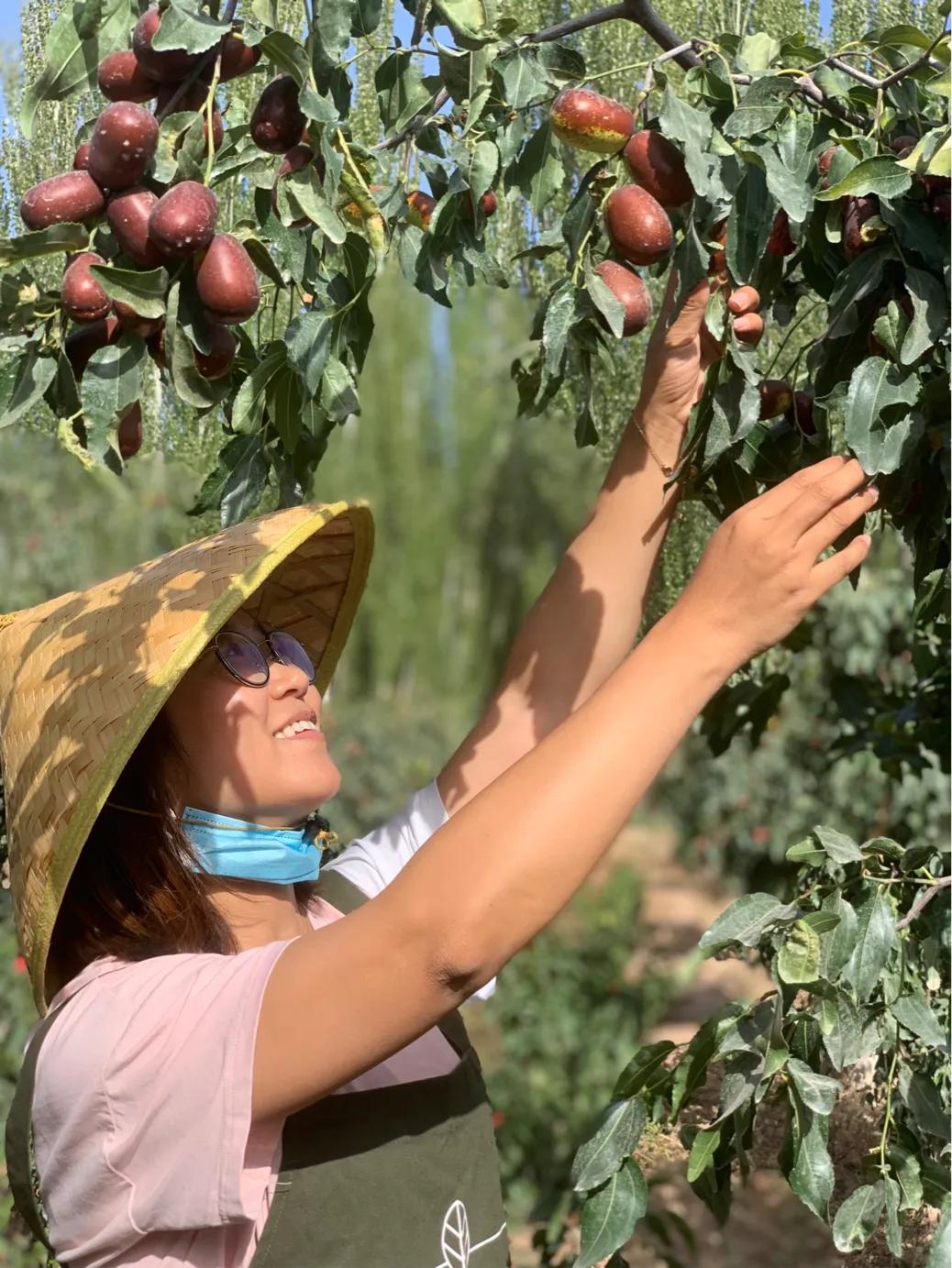 助农*疆新**水果特产优选动态