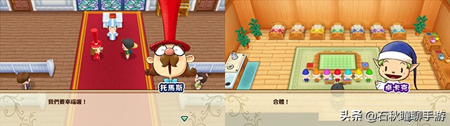 牧场物语矿石镇霍安买什么种子好,牧场物语重聚矿石镇猜苹果攻略