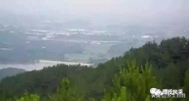 韶关南雄珠玑古巷历史,广东南雄珠玑巷南迁姓氏名录