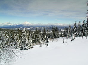 古代胡人和羌族人是现在哪里,胡人羌族