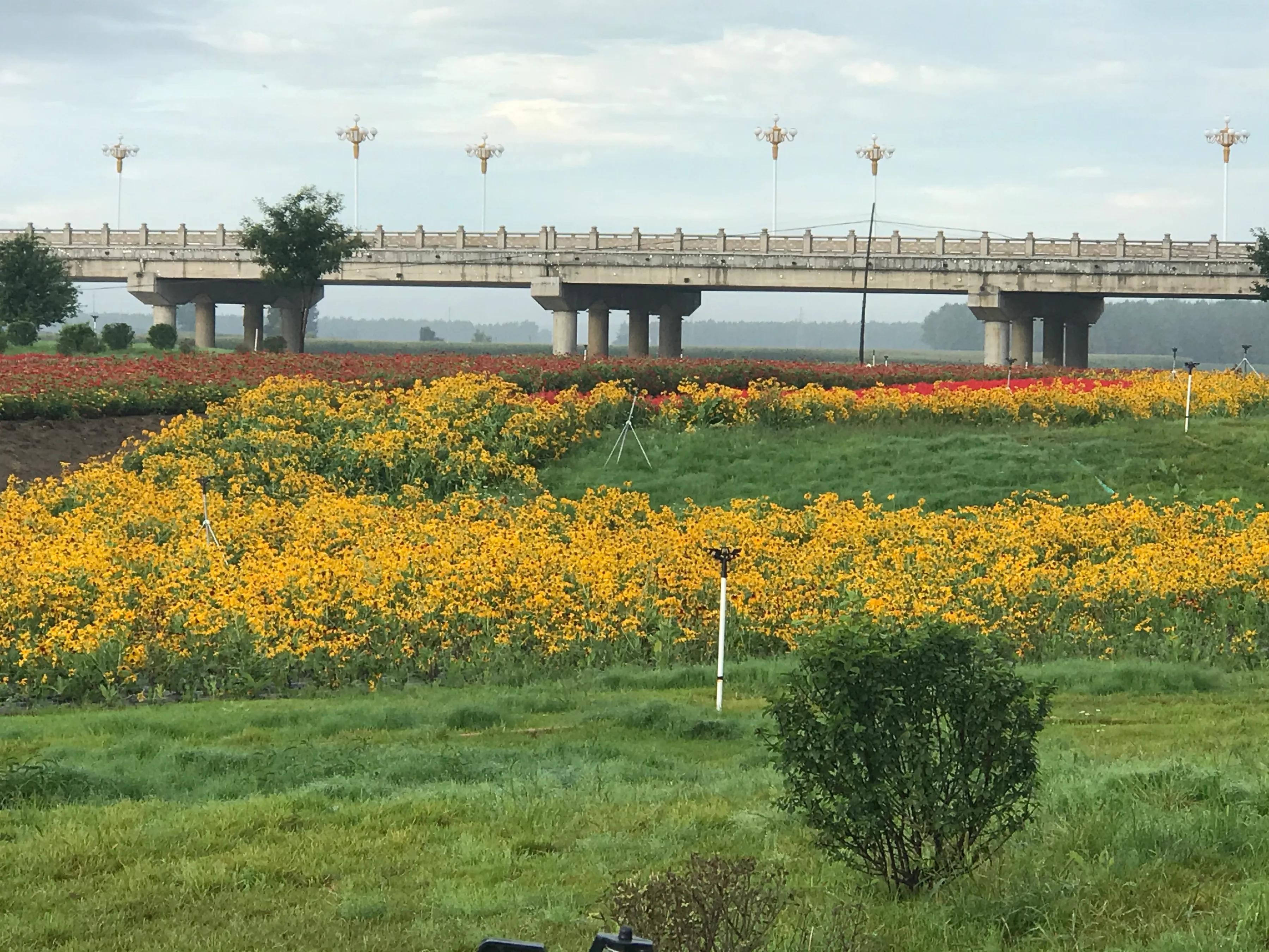 辉南街早市开了吗,辉南朝阳镇早市开门营业时间