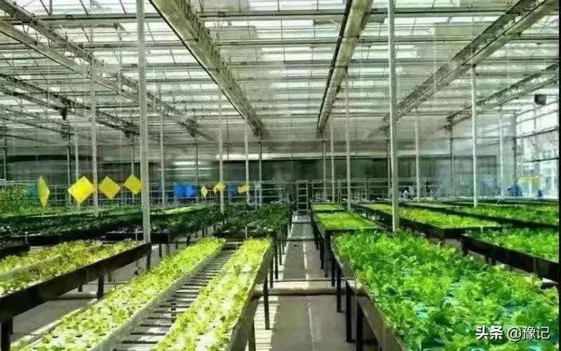 春节又到了回家的时候,又到了返乡过年的时候