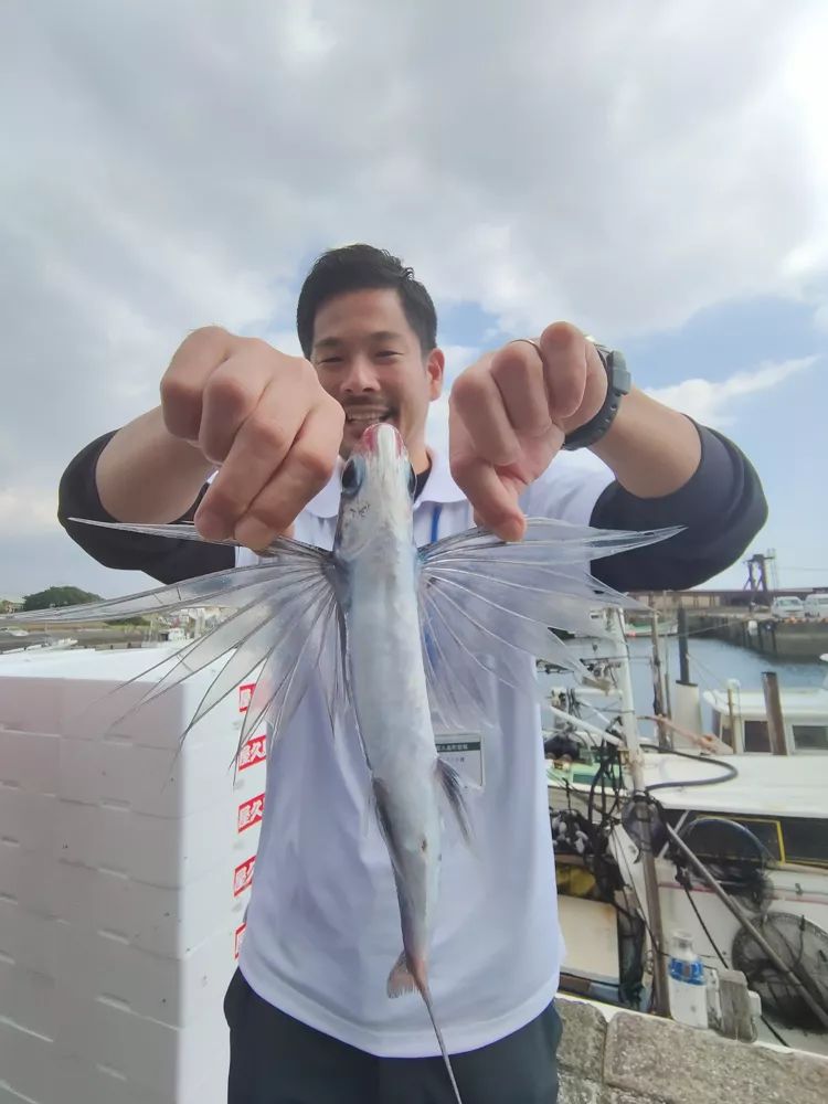 vivonex3和vivonex3s,vivonex3和vivonex3s区别