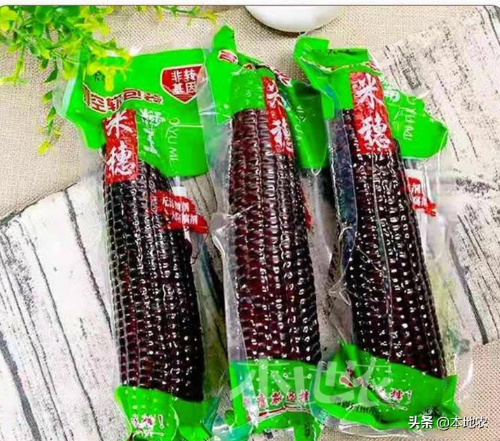 健康营养的黑糯玉米,黑糯玉米网红
