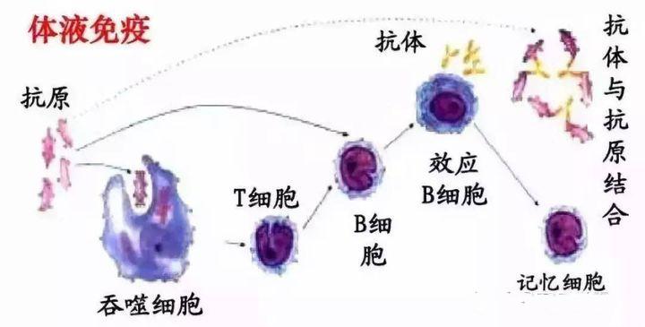 文理科分数线差距是否合理,江苏高考分数线文理科差异