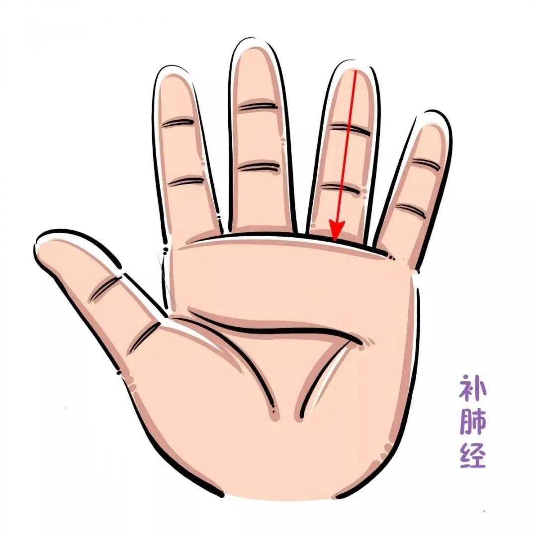 幼儿汗多自汗如何调理,幼儿出虚汗推拿手法