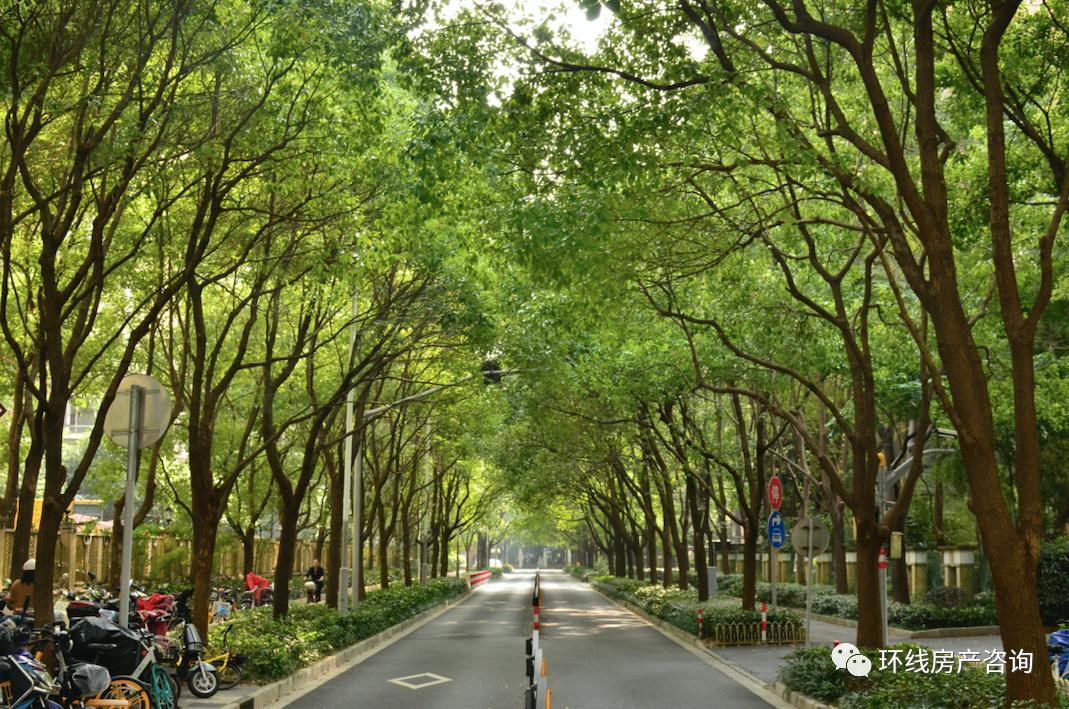 古北现在有人吗,古北还留得住人吗