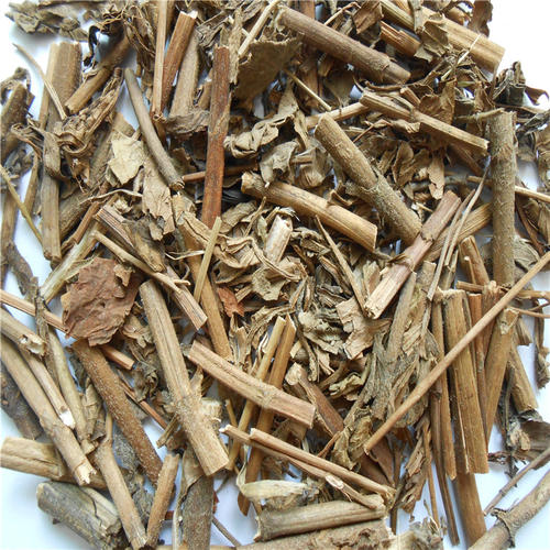 败酱草属于什么类,败酱是什么