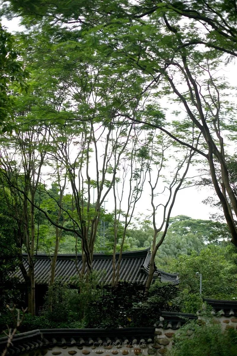 广州免费室内拍照地方推荐,广州拍照免费场景推荐