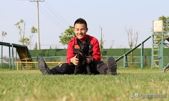 给狗狗打了疫苗注意事项,给狗狗打疫苗要注意事项