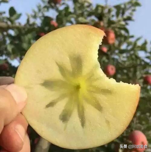 去*疆新**旅游，建议尝尝这5种特有的“水果”，好吃营养还不贵