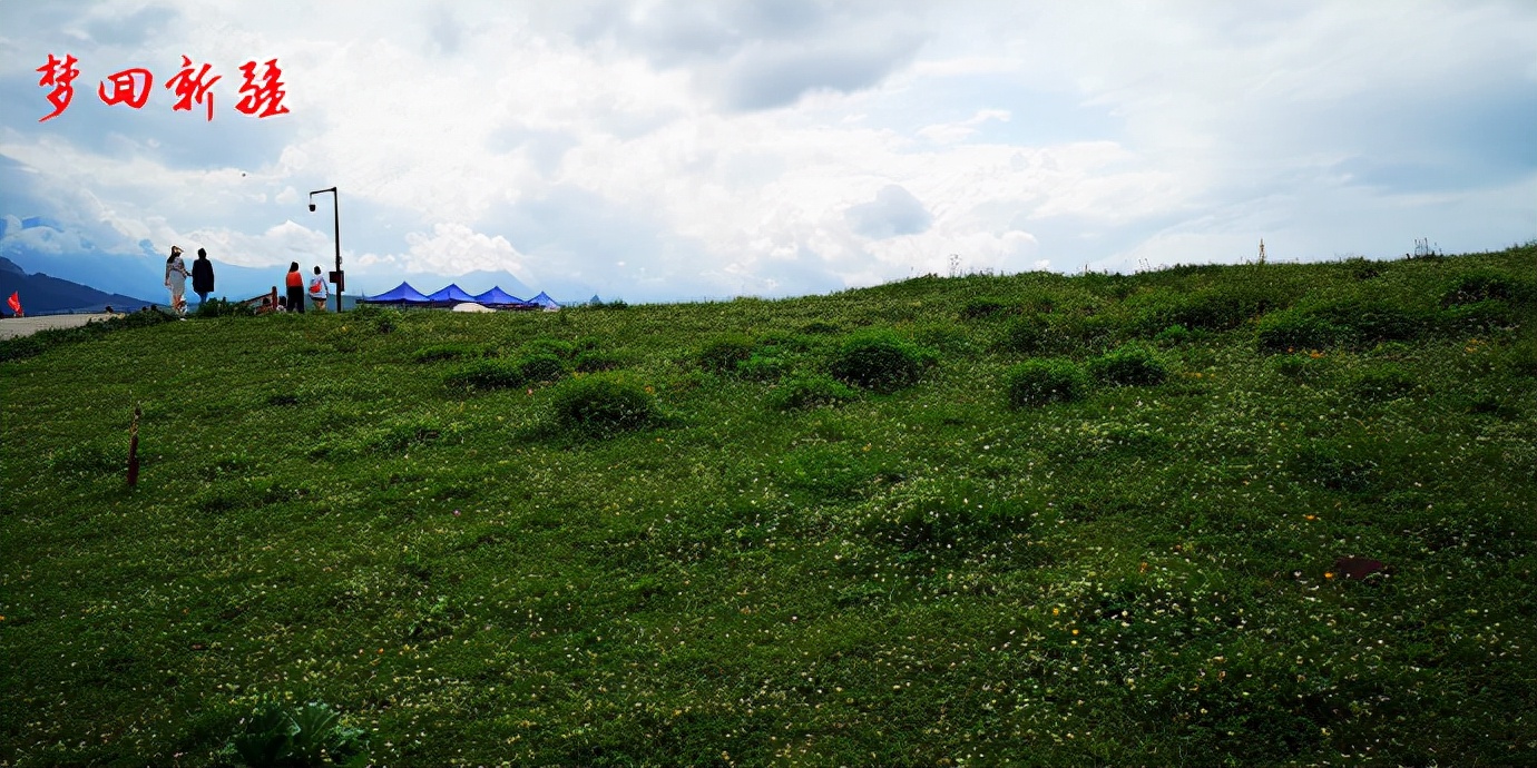 梦回新疆梦回拉萨,梦回伊宁草原视频