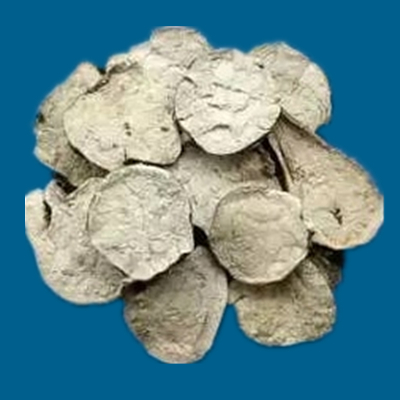 附子的种类图片大全,附子有多少种品种图片