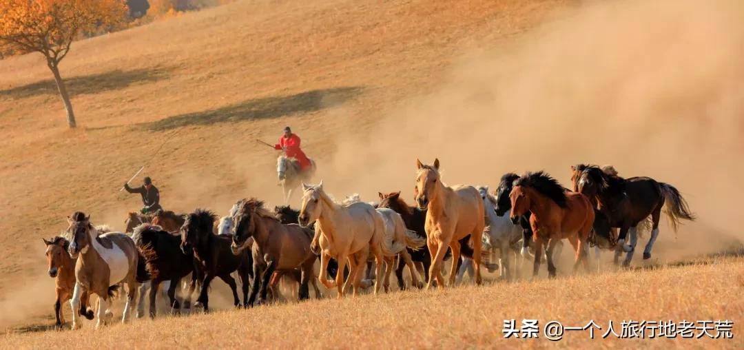 国庆旅游宝藏景点,还有哪些宝藏小众旅游地