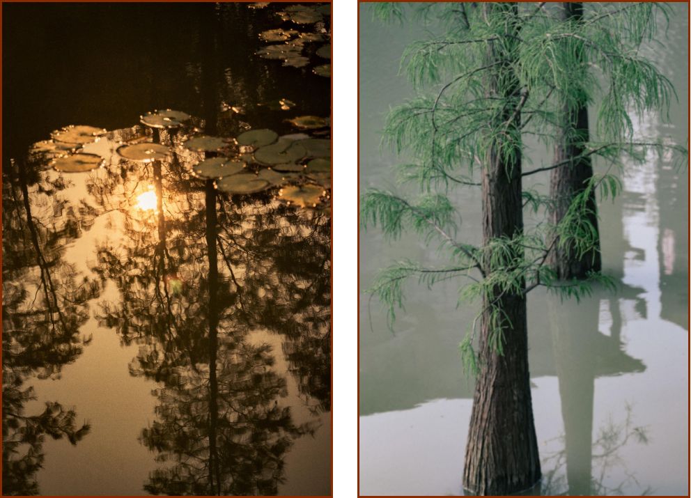 深圳风景最好的岛,深圳有个什么旅游岛