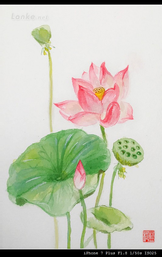 诗经国风郑风扶苏,诗经郑风有女