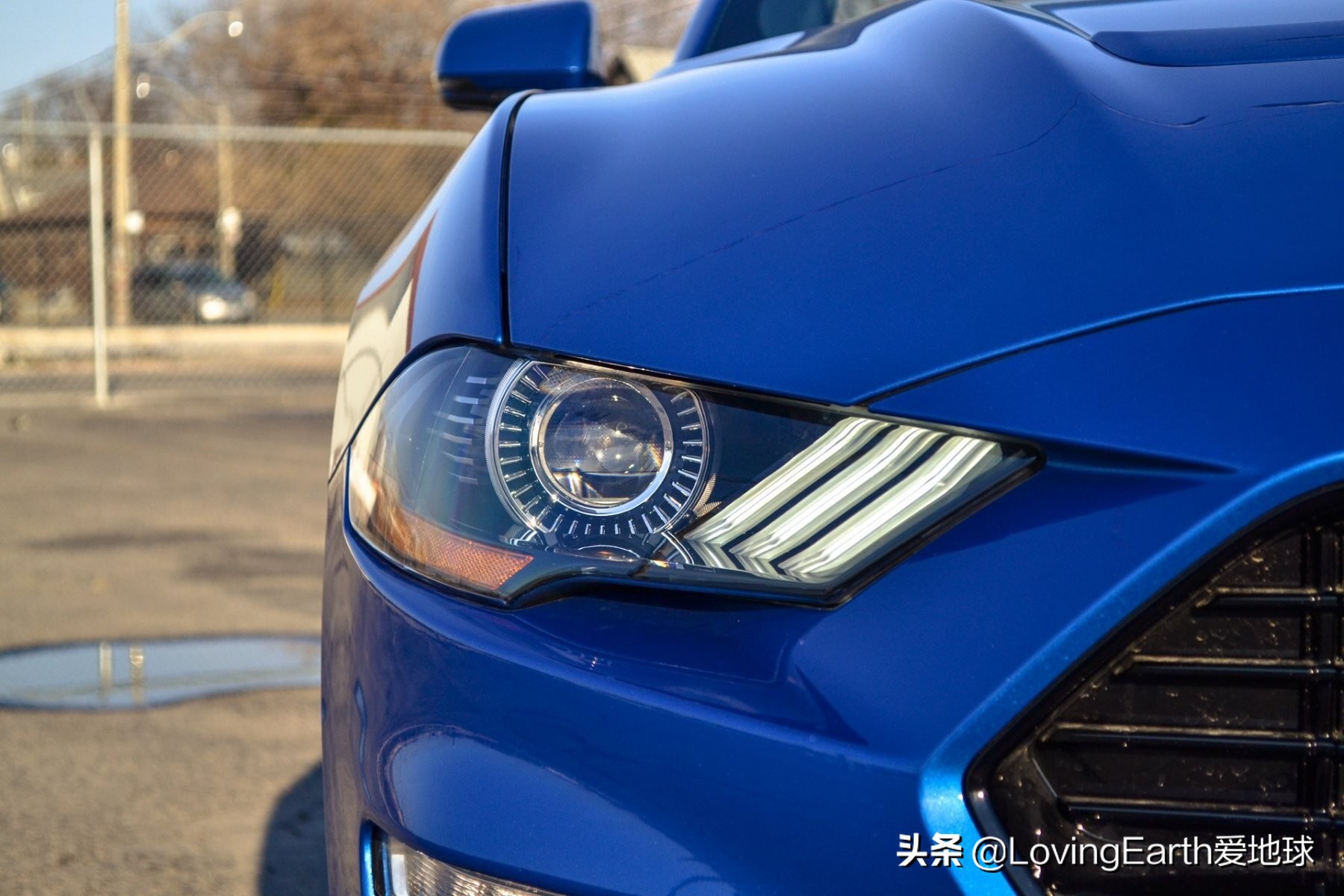 福特野马gt豪华跑车2024,福特野马gt敞篷加州限量版