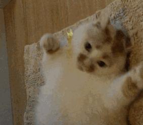 最低只要10块钱!这些网红单品实在是太可怕了!