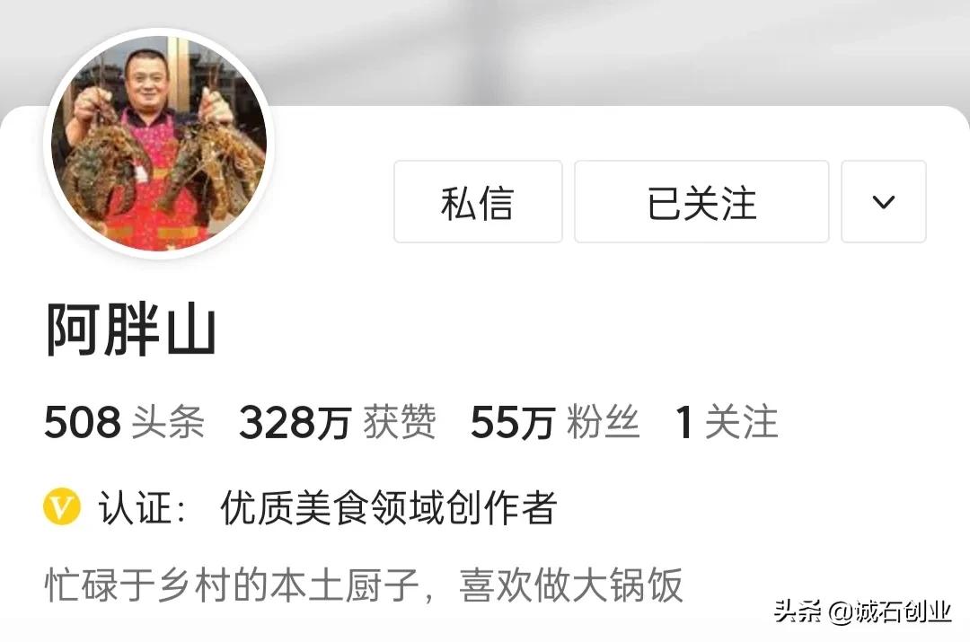 美食自媒体前十名,美食自媒体创业视频教程