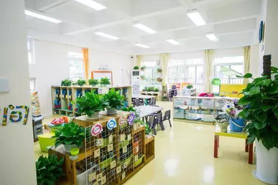 上海十大难进的幼儿园,上海超难进的幼儿园