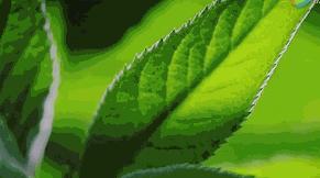 开车晕车犯困怎样快速清醒,开车犯困一招搞定