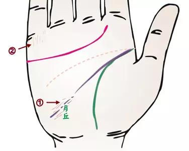 掌纹诊病图片,掌纹能查出糖尿病吗
