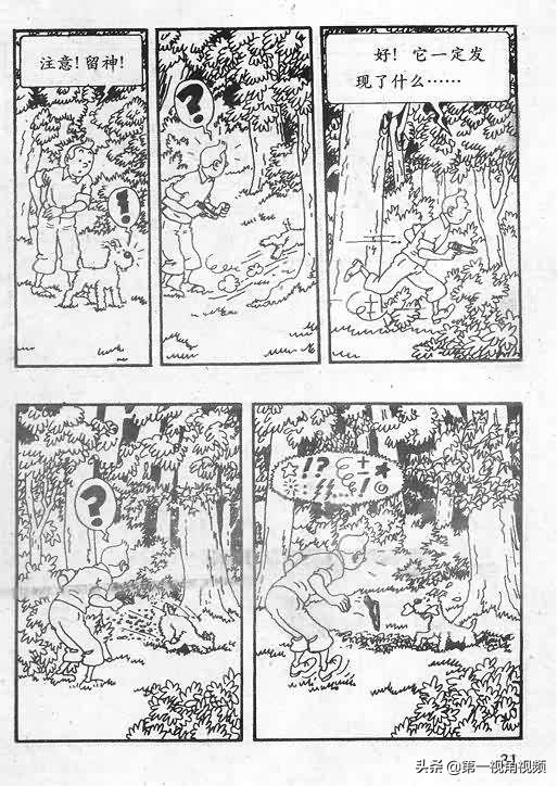 丁丁历险记刚果完整版,丁丁历险记西藏