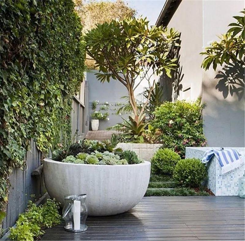 老外的多肉盆景惊艳了世界,多肉庭院美极了