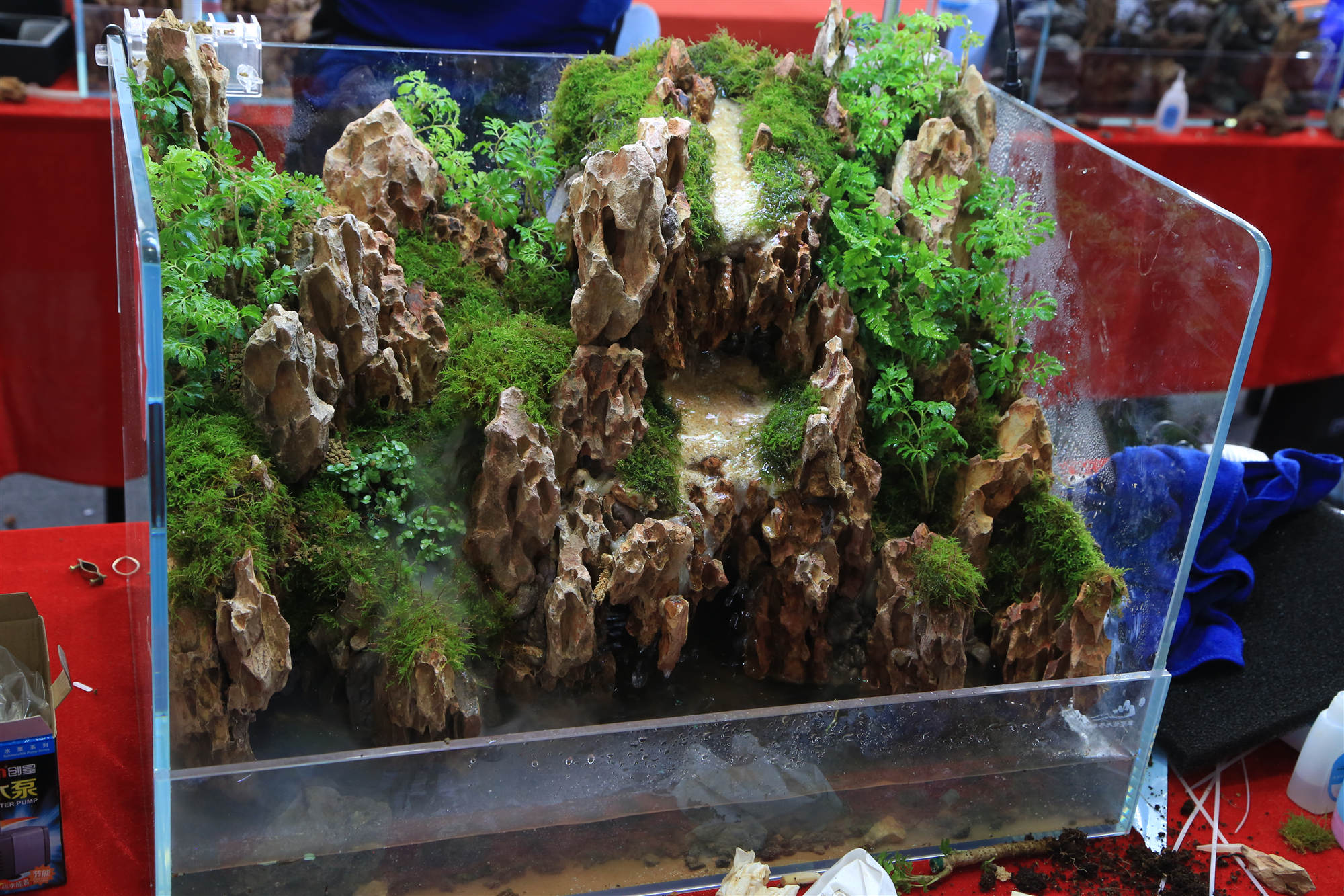 淡水水族展,中国国际水族展