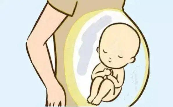 宝宝的胎盘埋了可以重新挖出来吗,宝宝的胎盘