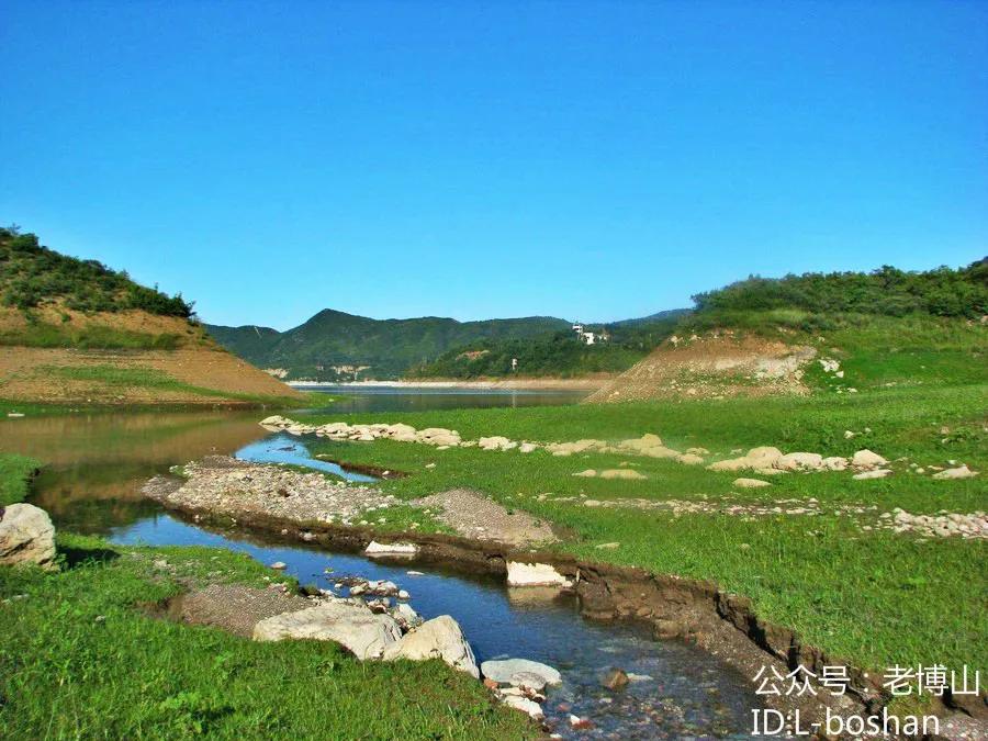 秋风起乌桕红,秋风起刘禹锡