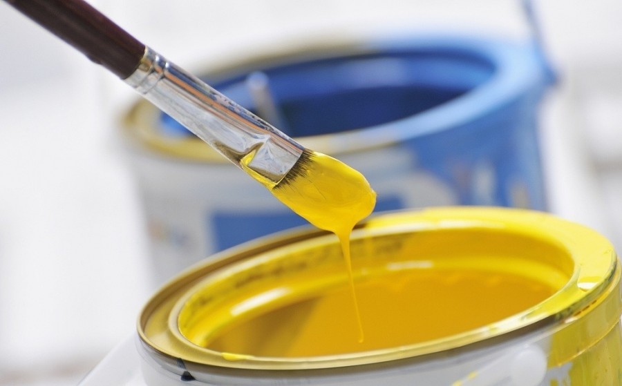 放一屋子绿植除甲醛有用吗,多放绿植可以除甲醛吗