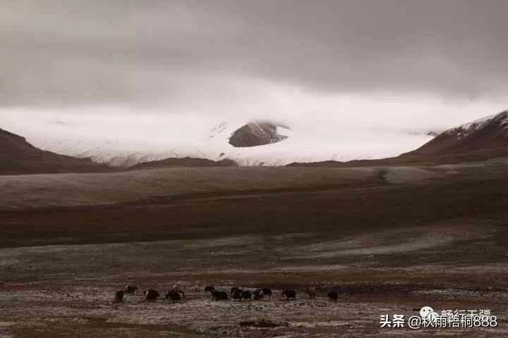 自驾青藏线进藏有多困难？有兴趣的就跟我走一趟逶迤的青藏线吧