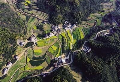 胥口高联梯田风景,高联村梯田