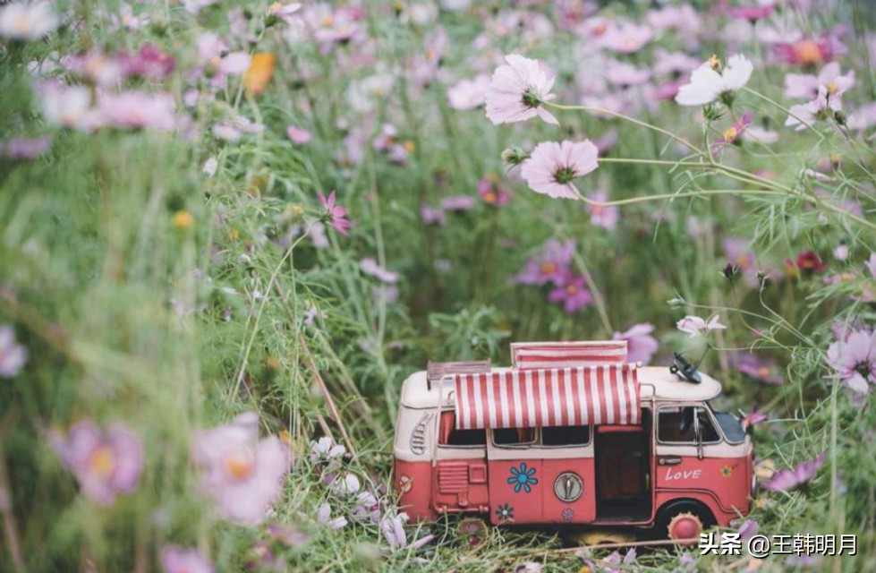 见山是山见水是水见你是世界,见山是山见水是水见你便是全世界