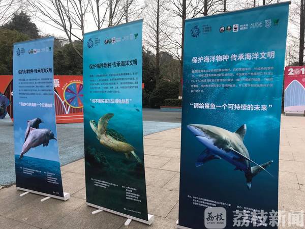 各种动植物科普大全,这些会动的植物你都知道吗