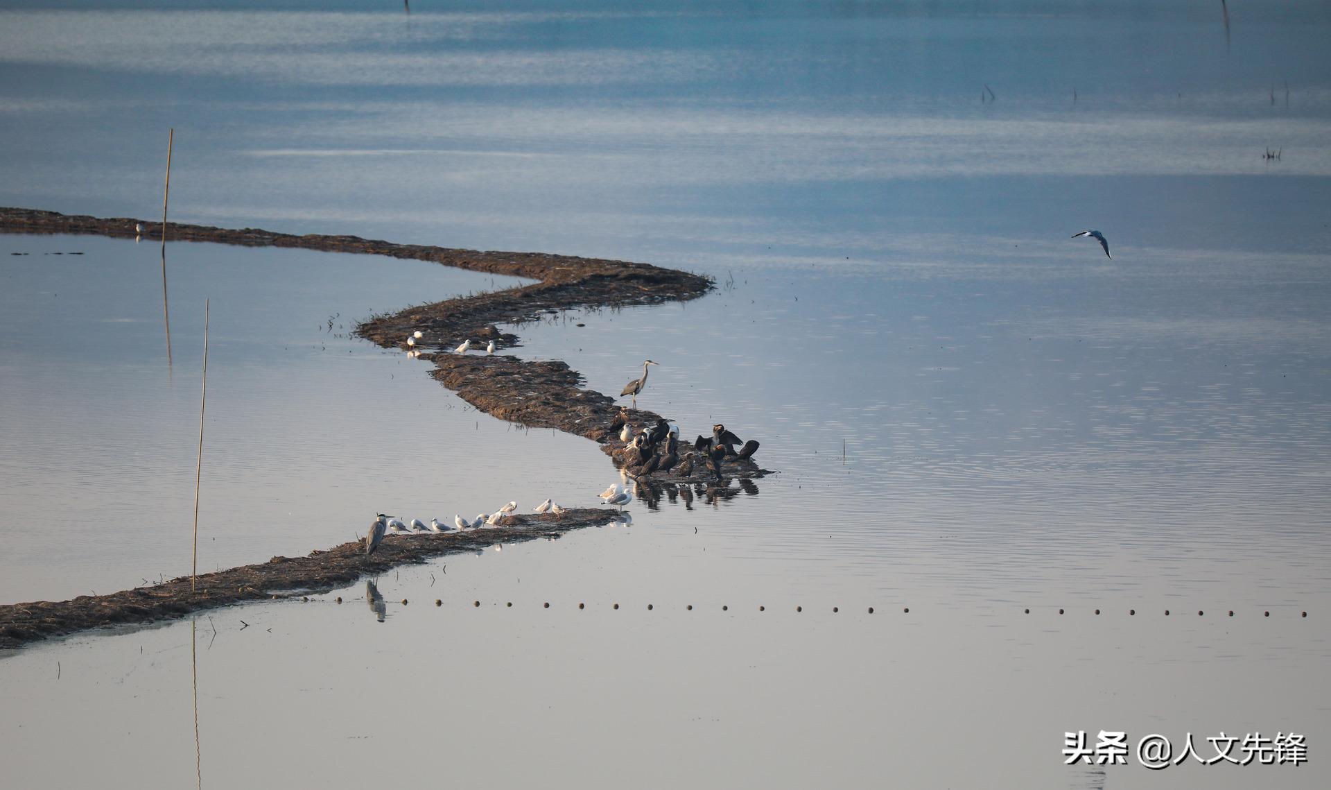 大同有几个国家级开发区,大同5a级旅游景点有哪些