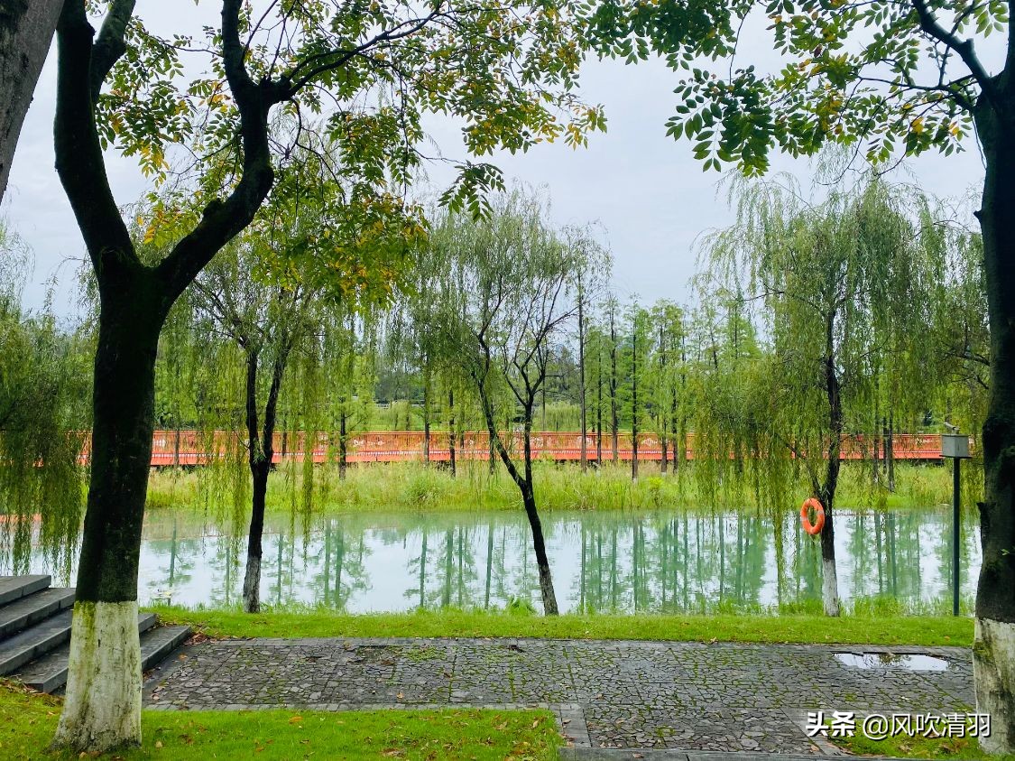 郫都区有什么不值得买的房子,郫都有什么劣势