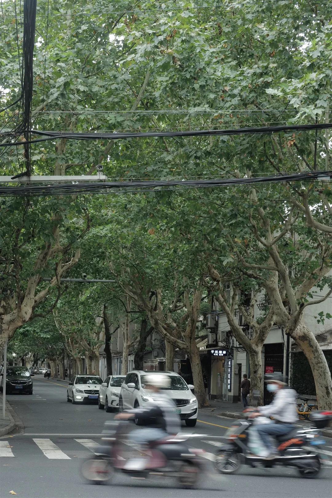 别争了,这条马路才是魔都内卷之王