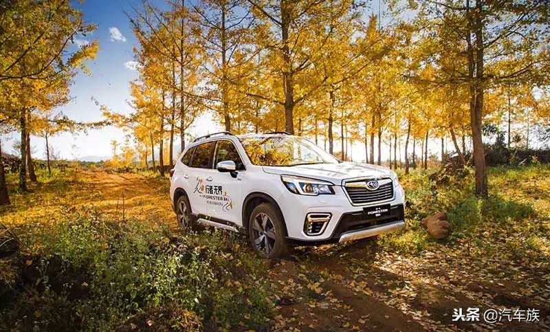 老款森林人对比新款森林人,全新换代森林人