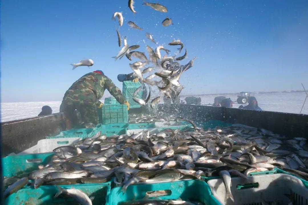 内蒙古赤峰属于东北吗,赤峰东北还是华北