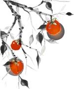 每日一字宣,每日一字平