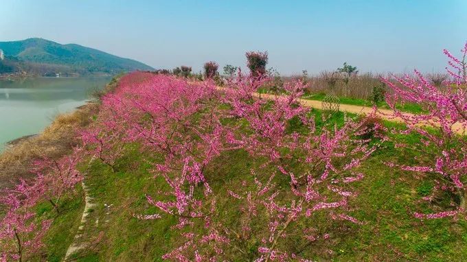 彭山景区活动购票,常德彭山景区游玩攻略图