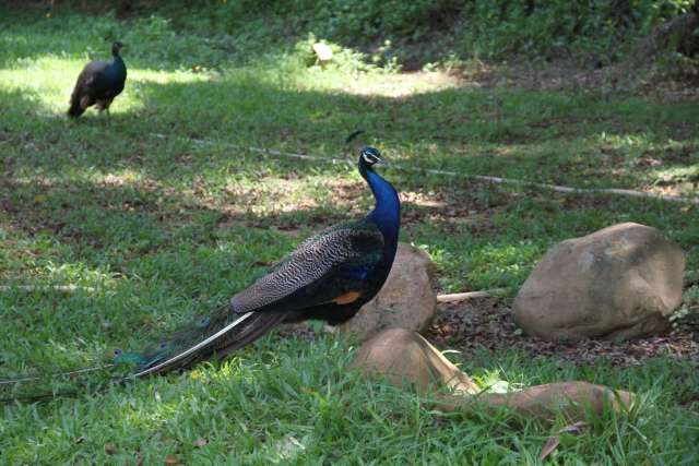 东莞唐拉雅秀酒店攻略,唐拉雅秀酒店游泳池