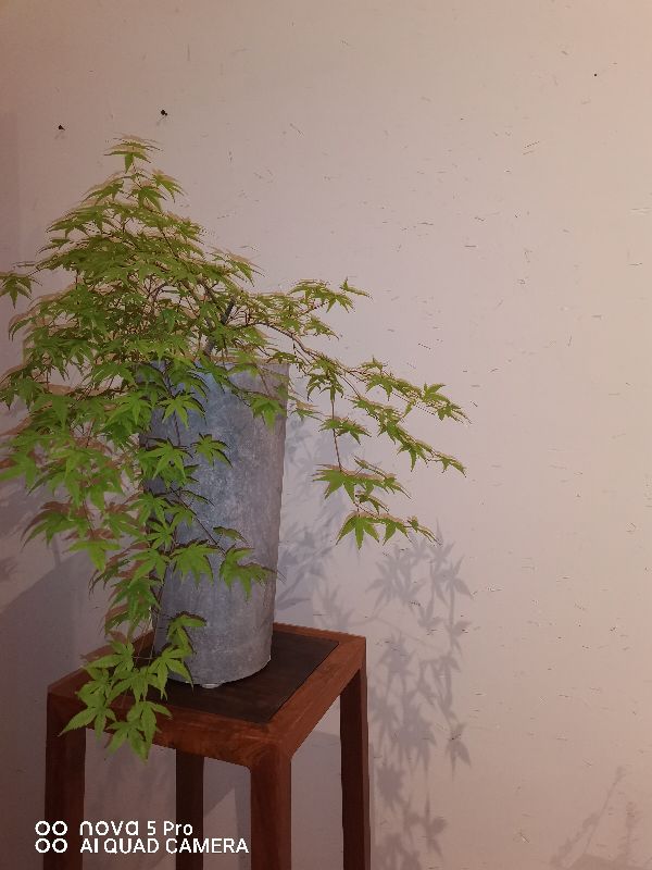 798北京艺术中心开放吗,北京朝阳区798艺术中心